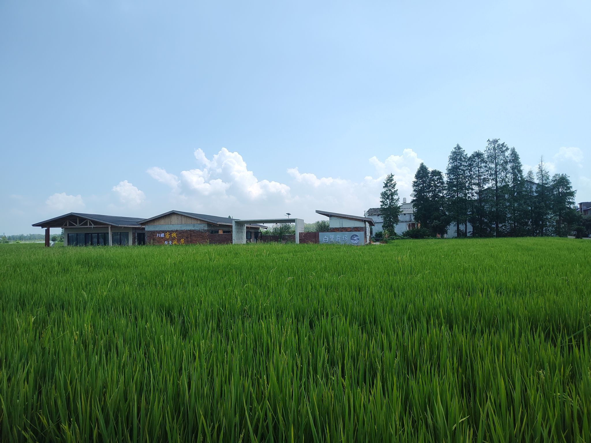 湖陂乡村振兴示范区旅行图片 2