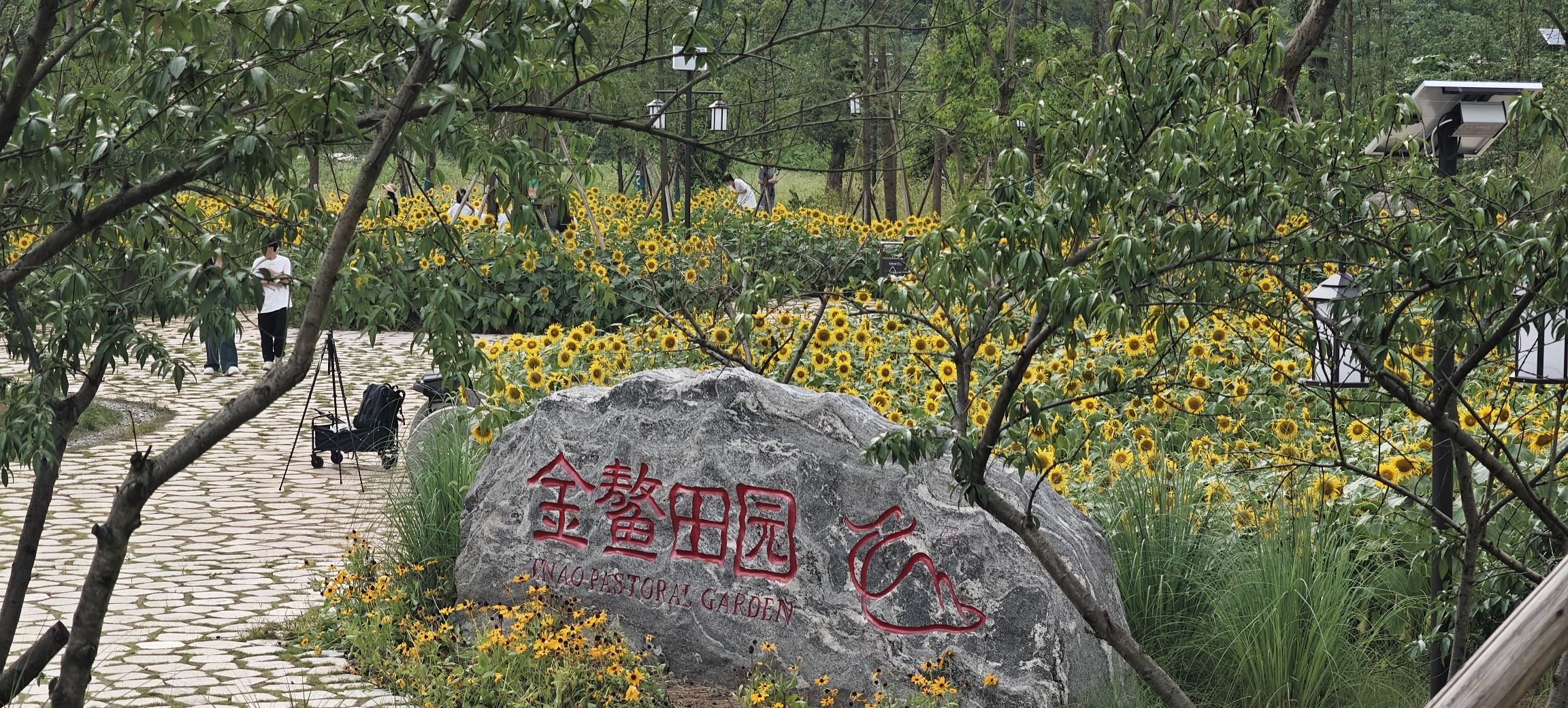 金鳌田园广场旅行图片 1