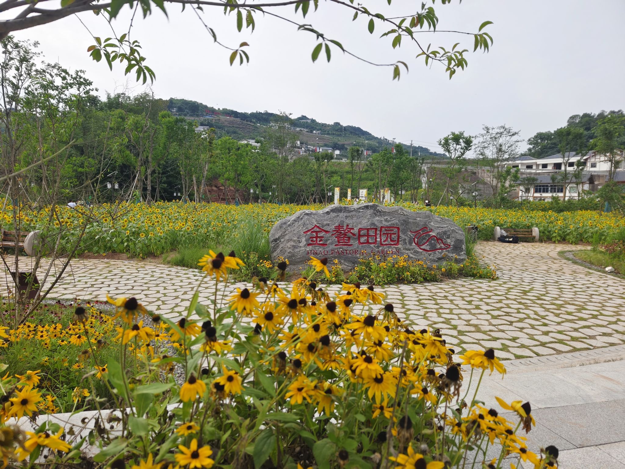 金鳌田园广场旅行图片 2