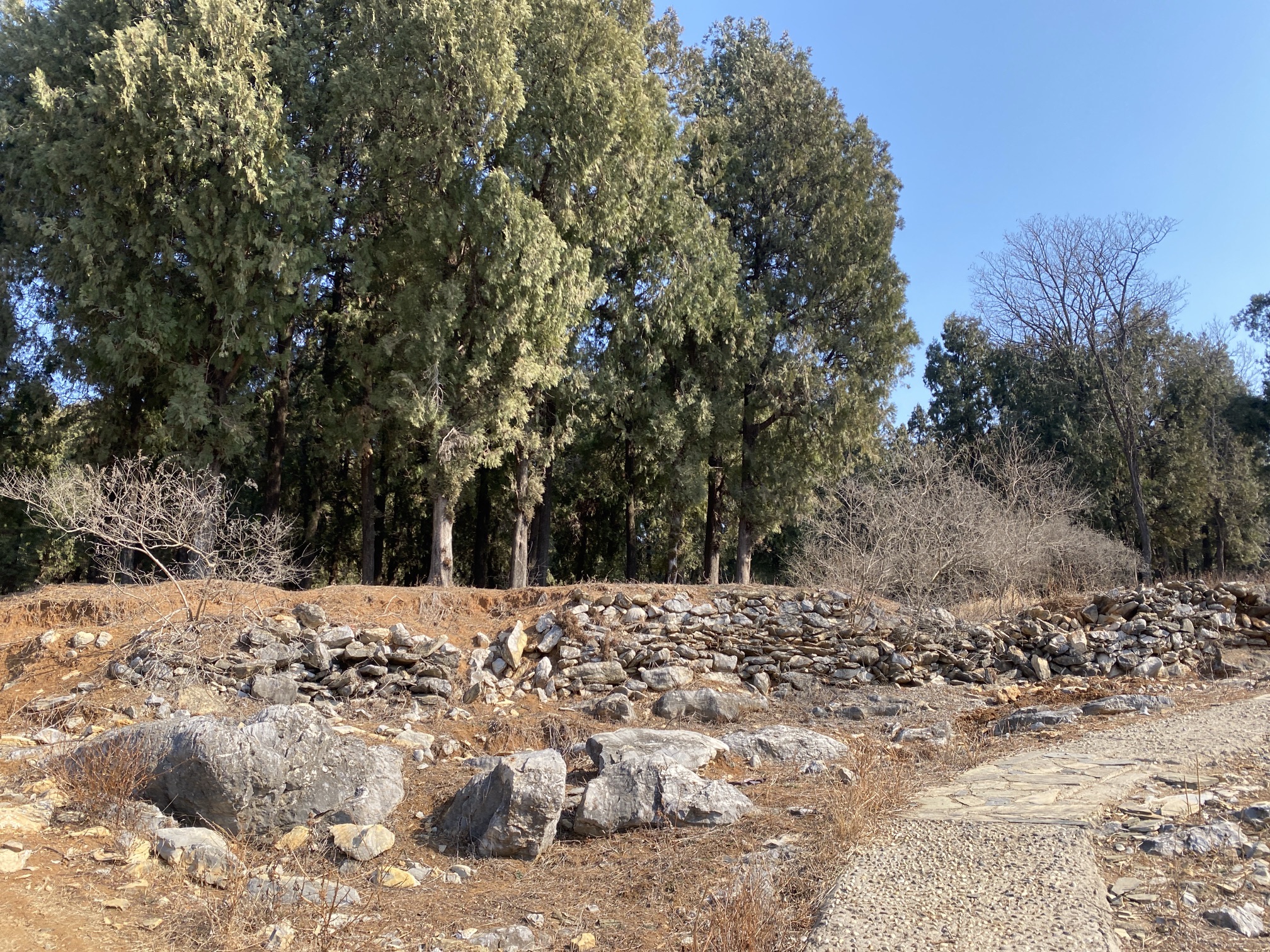 徐州市龙华古寺遗址旅行图片 3