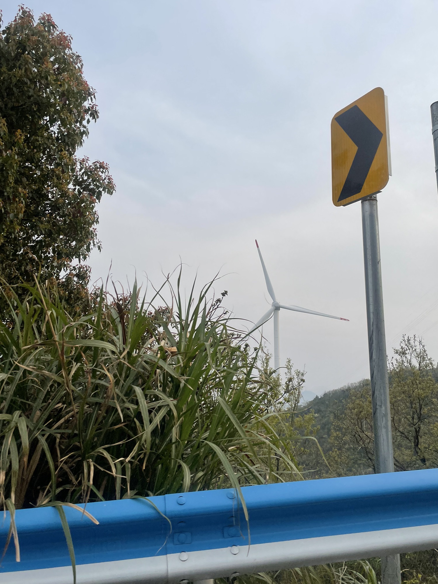 马目风车露营地1号旅行图片 3