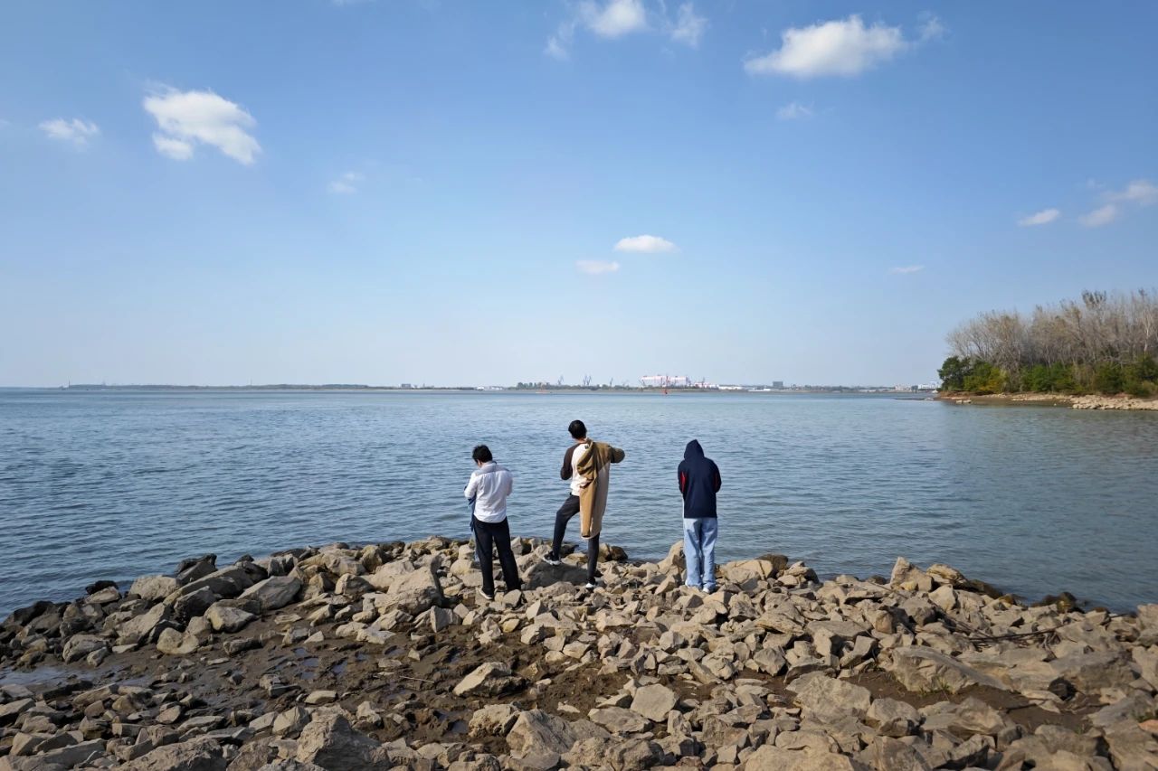 高桥江豚湾旅行图片 3