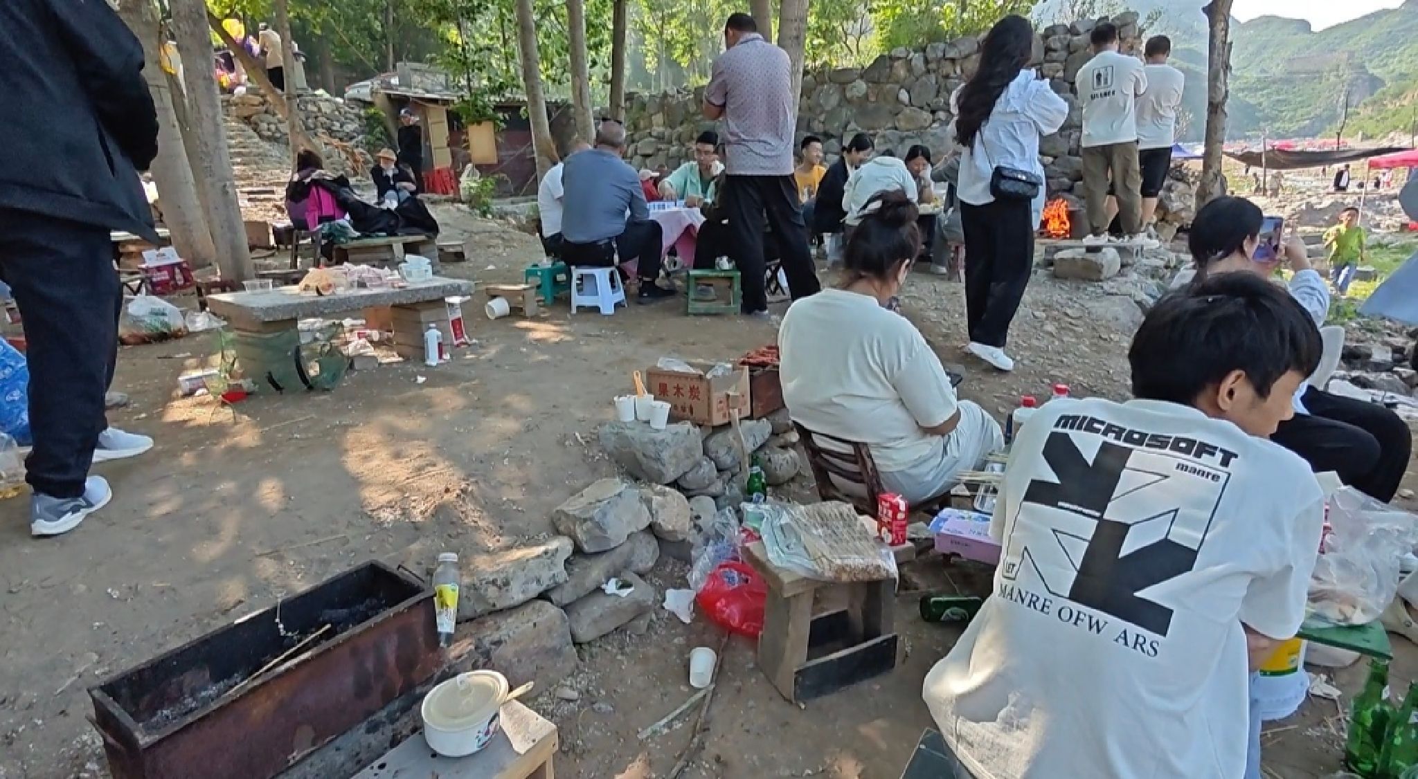 八渡杨树林旅行图片 2