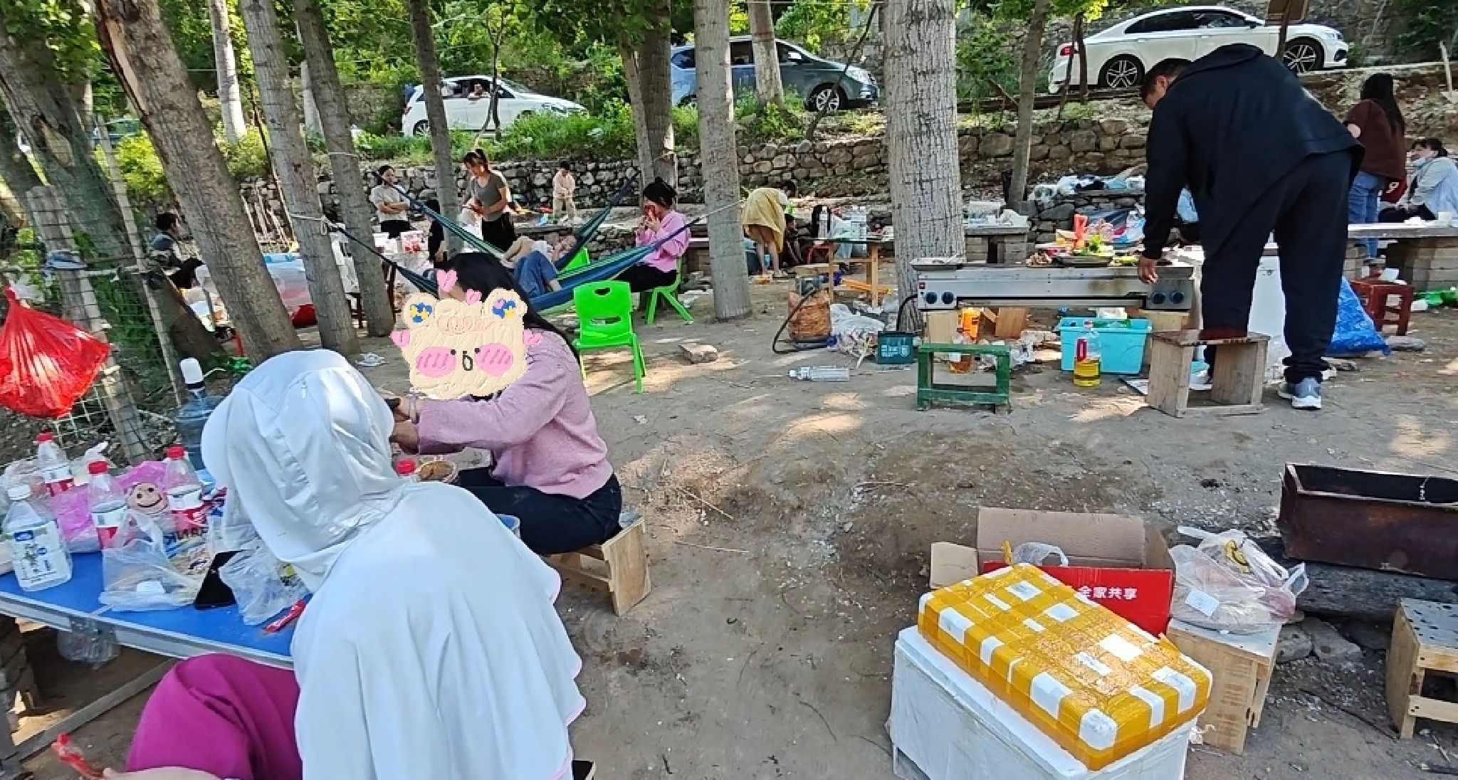 八渡杨树林旅行图片 1