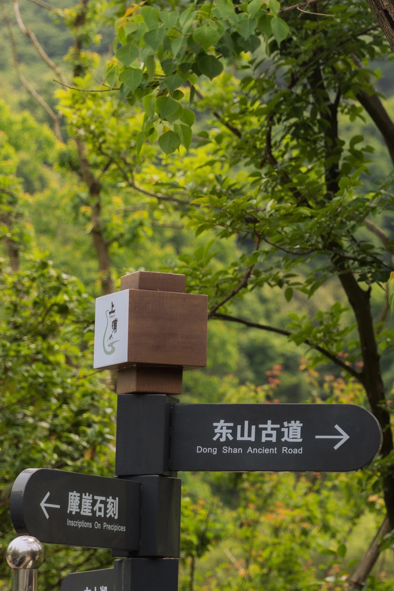 东山古道旅行图片 2