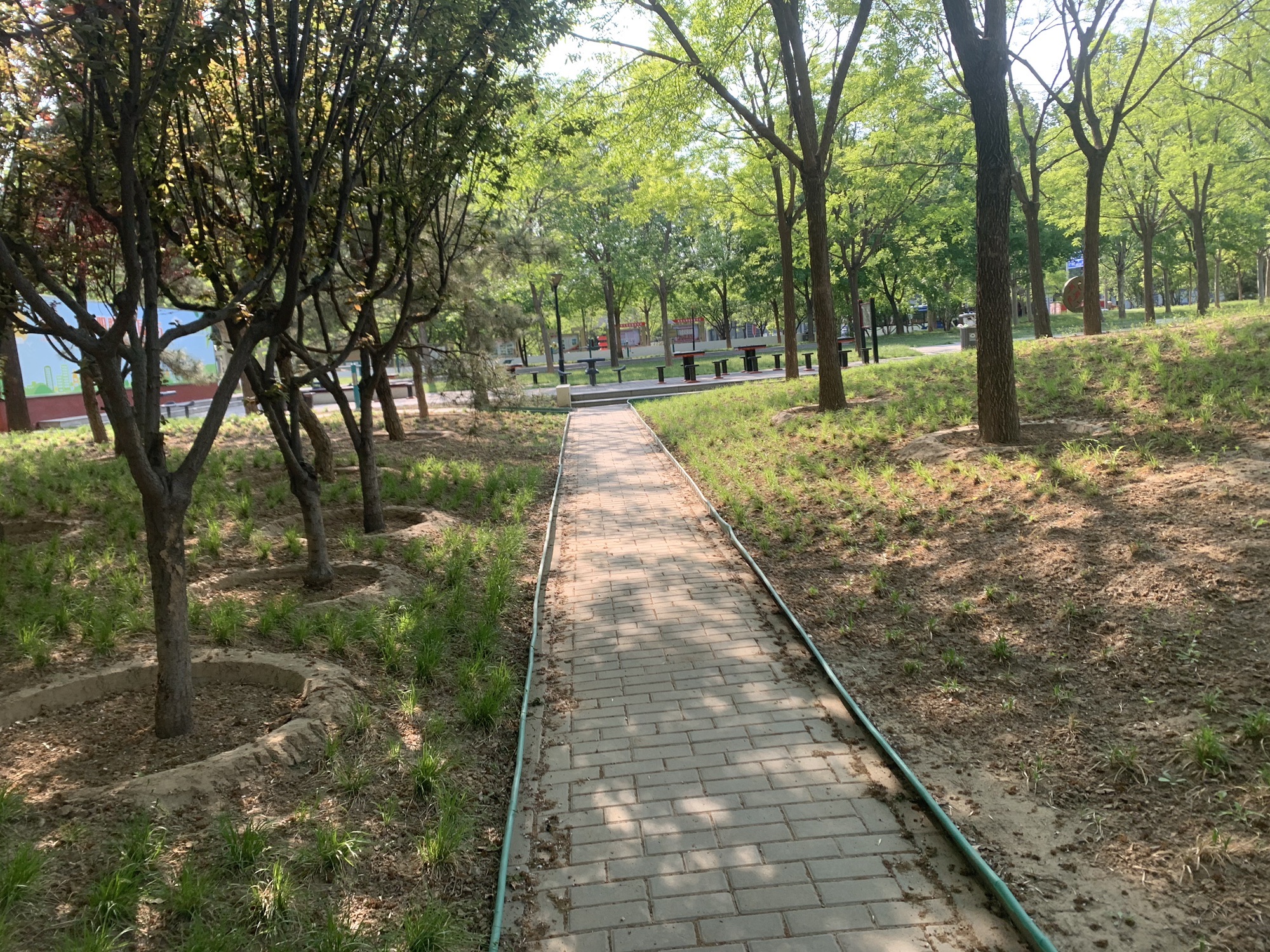 利泽东街东口三角地