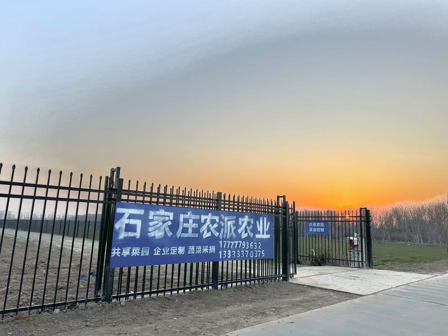 石家庄农派农业