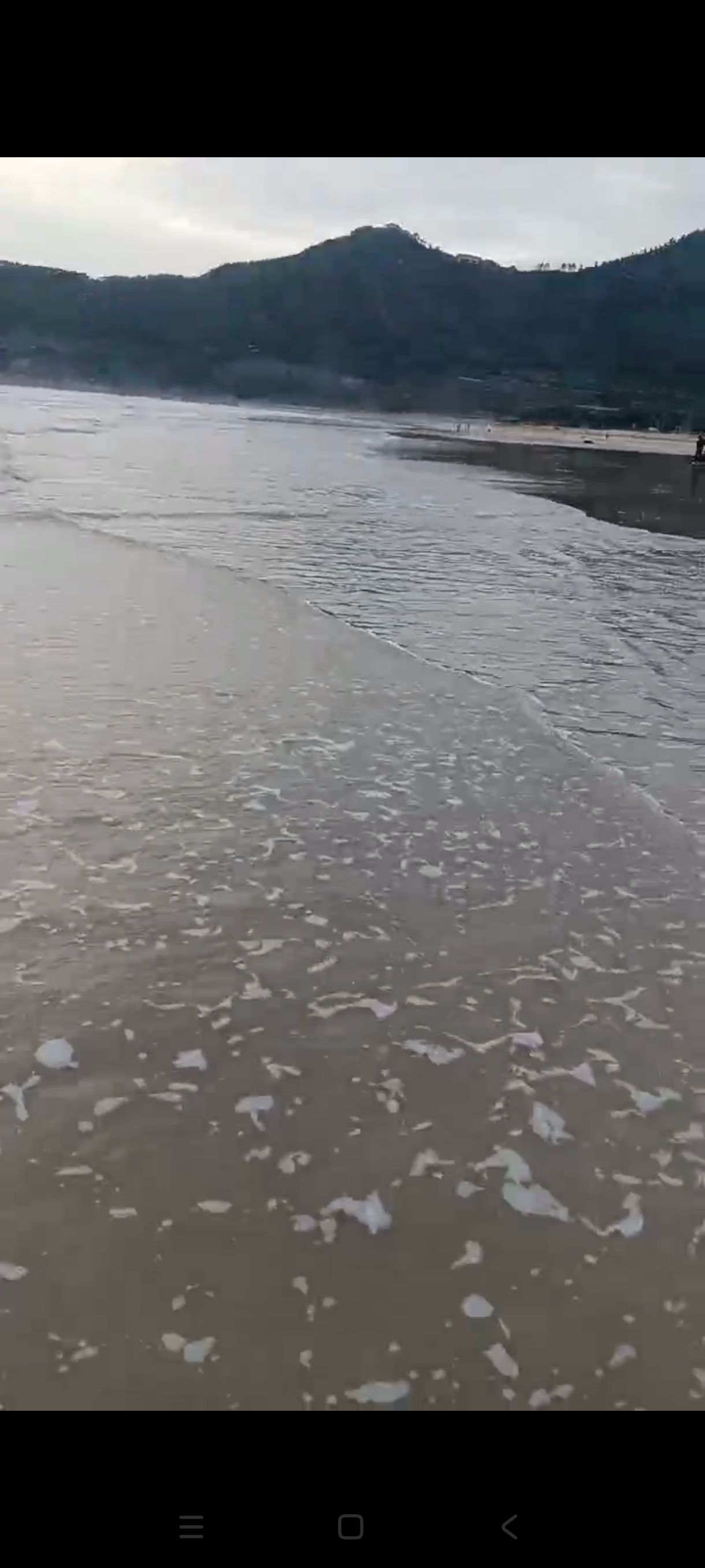 积石村沙滩旅行图片 3