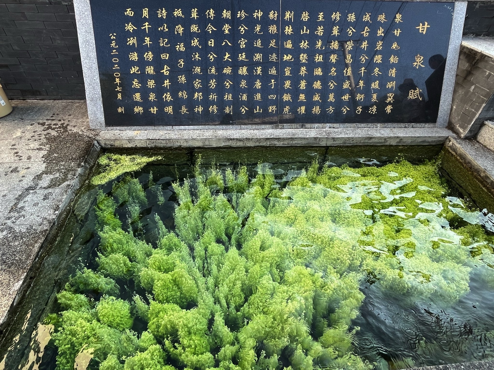 张坊古井旅行图片 2