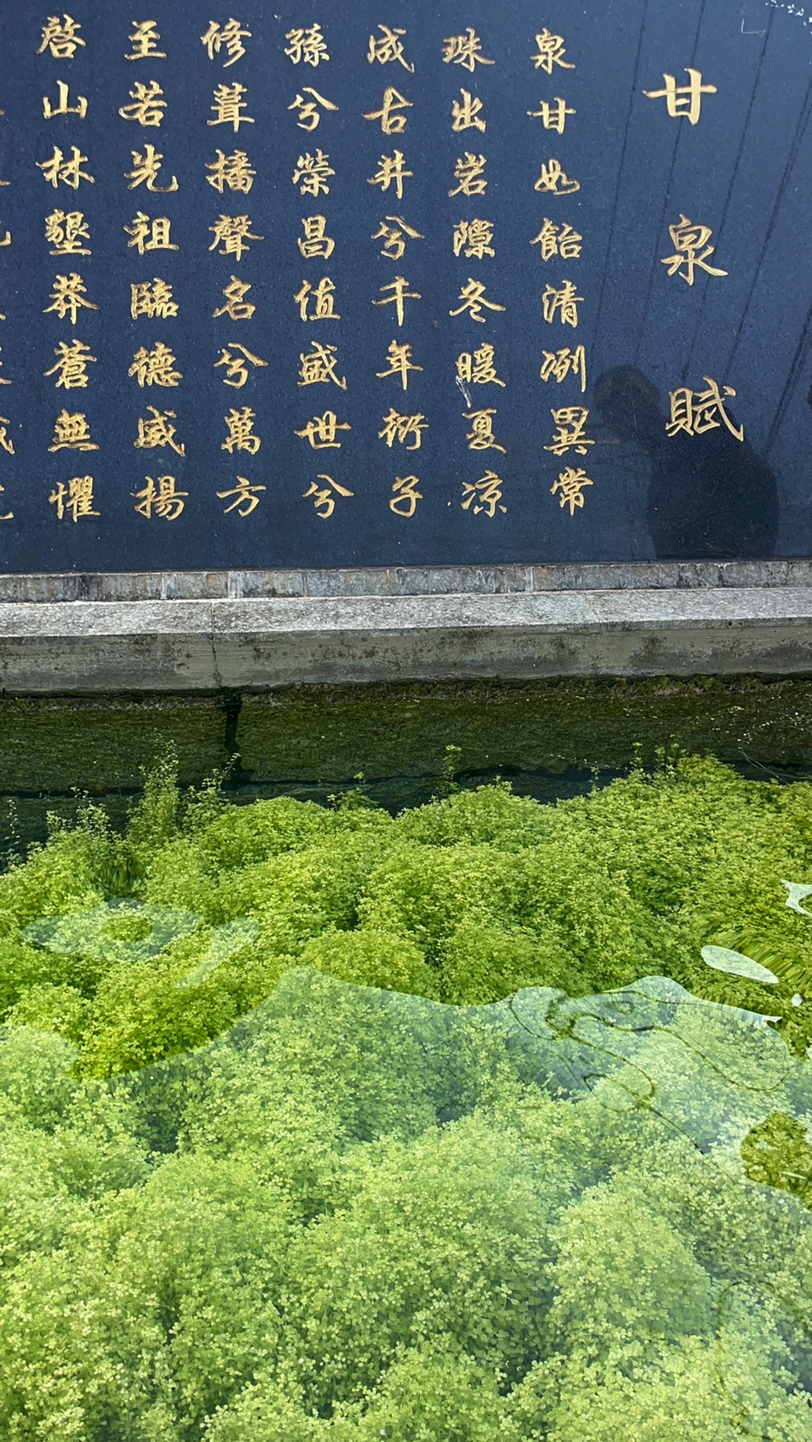 张坊古井旅行图片 1