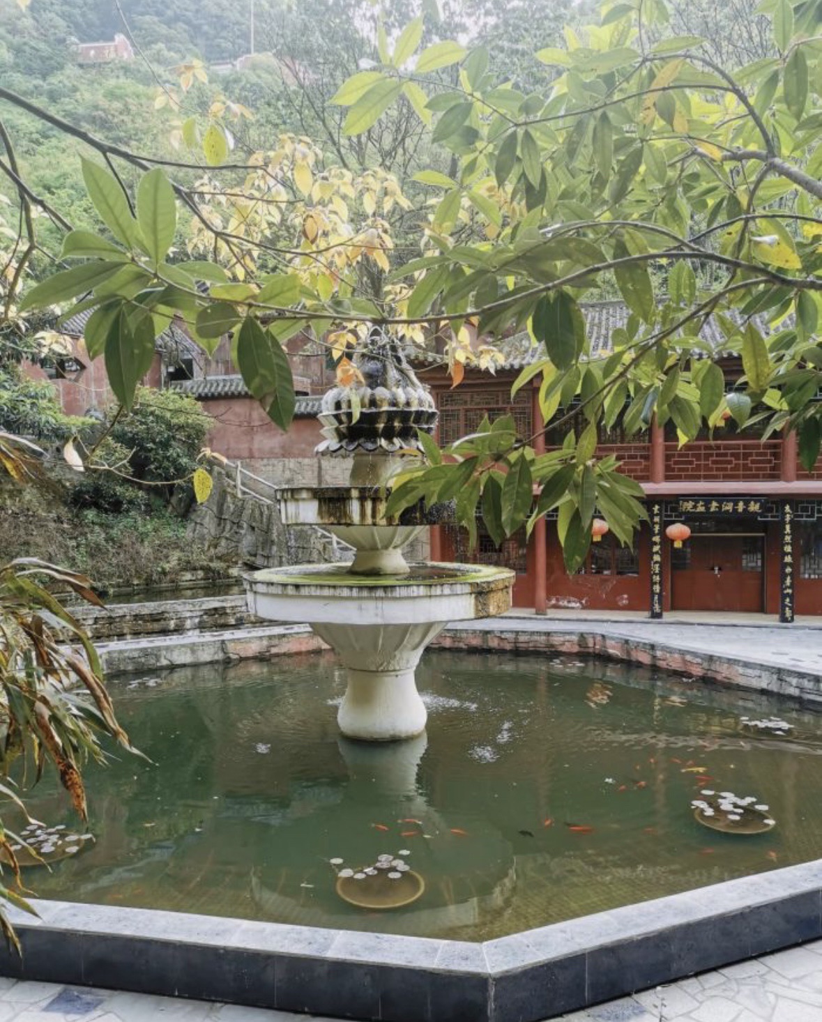 观音洞旅行图片 1