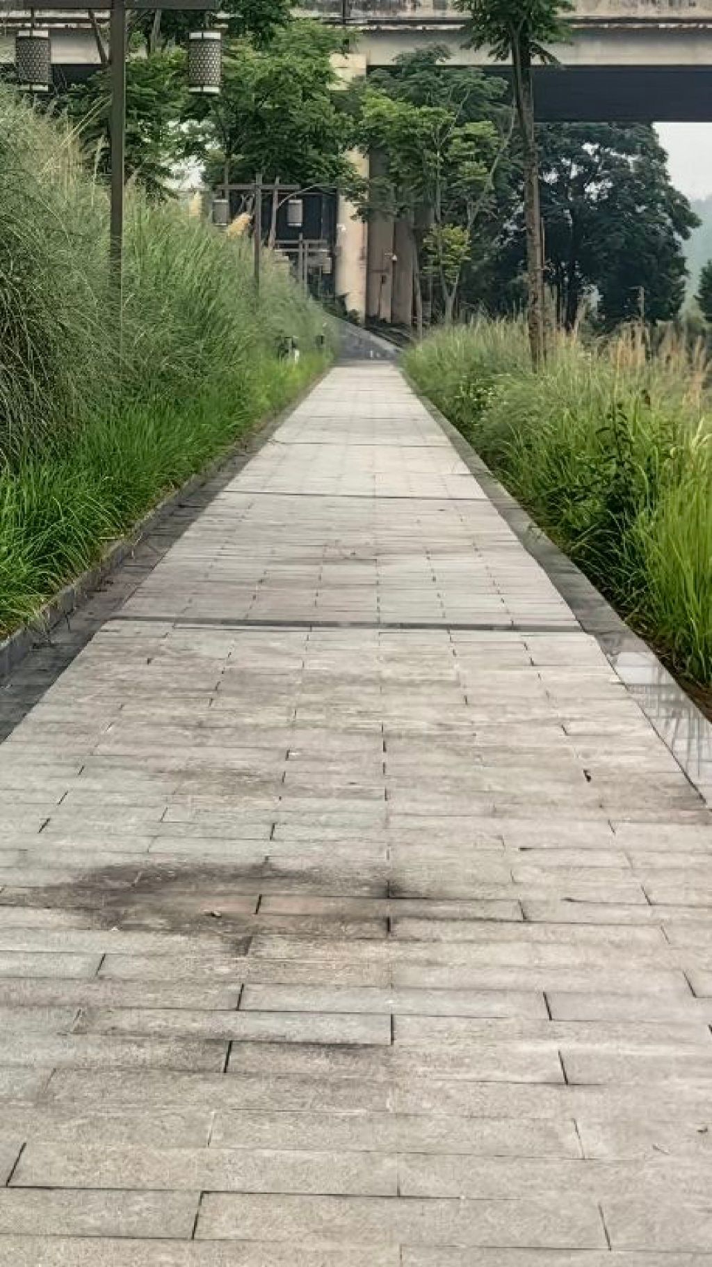 花萼碧道旅行图片 2