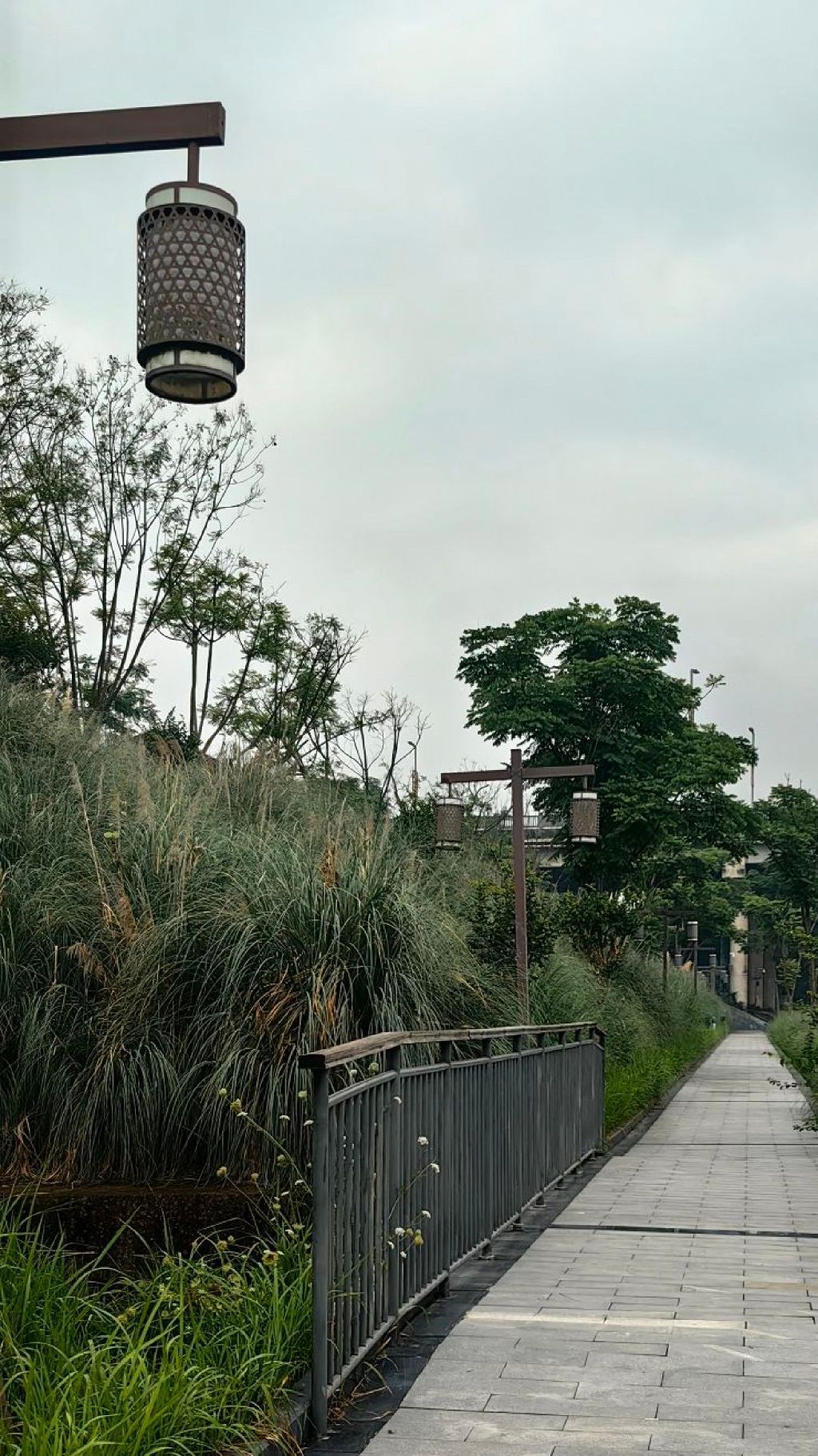 花萼碧道旅行图片 3