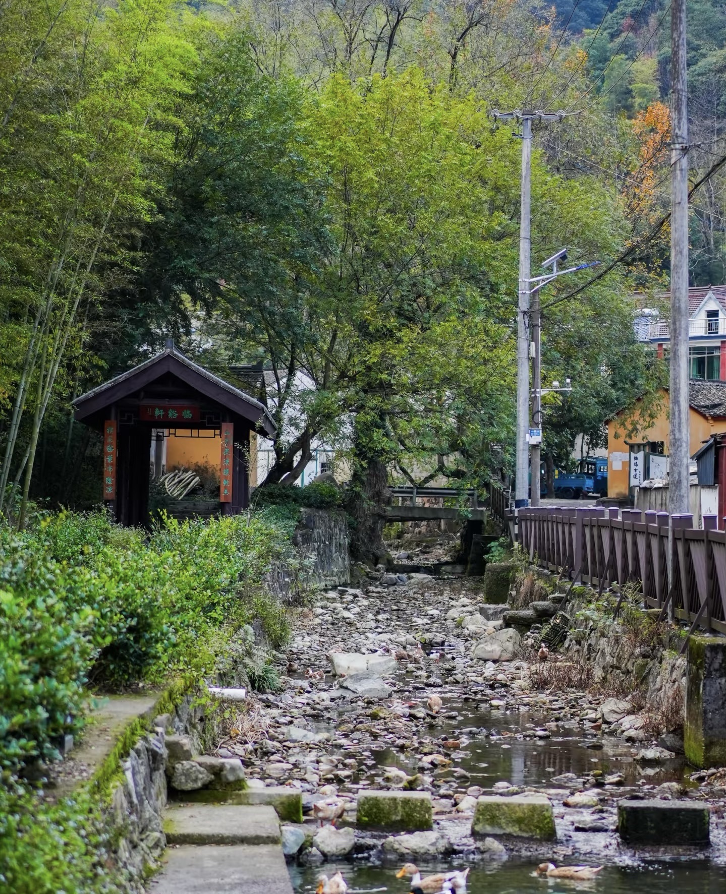 梅坞古道旅行图片 1