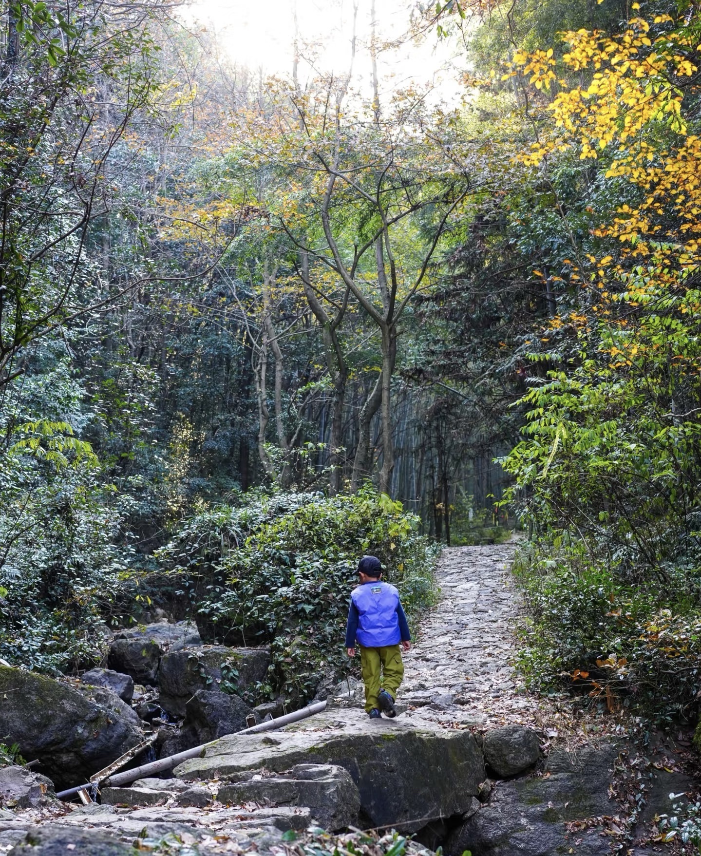 梅坞古道旅行图片 3