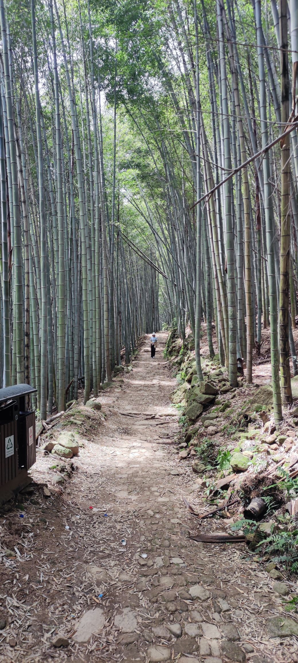 梅坞古道旅行图片 1