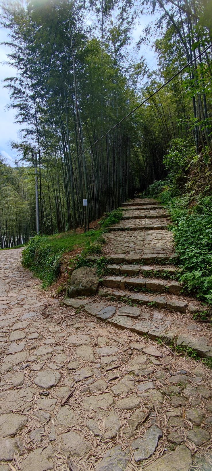 梅坞古道旅行图片 3