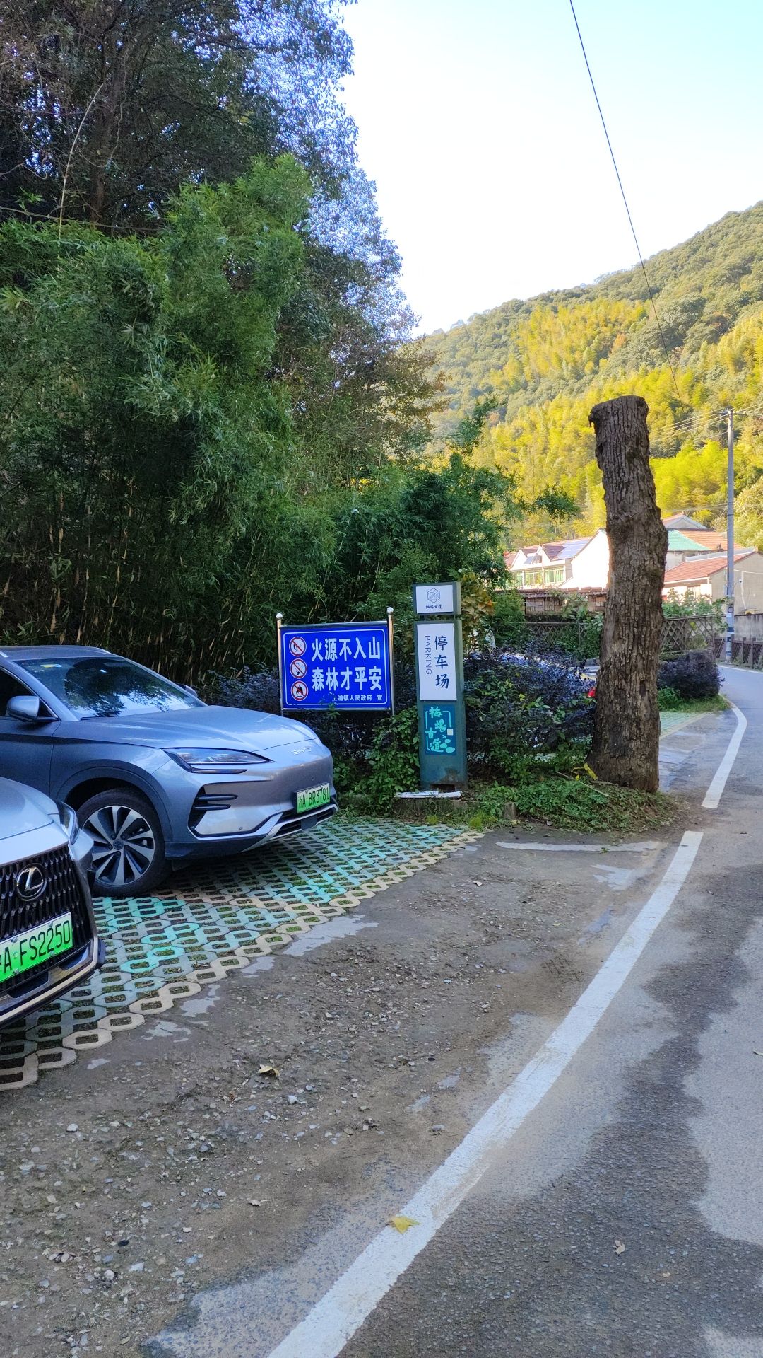 梅坞古道旅行图片 3