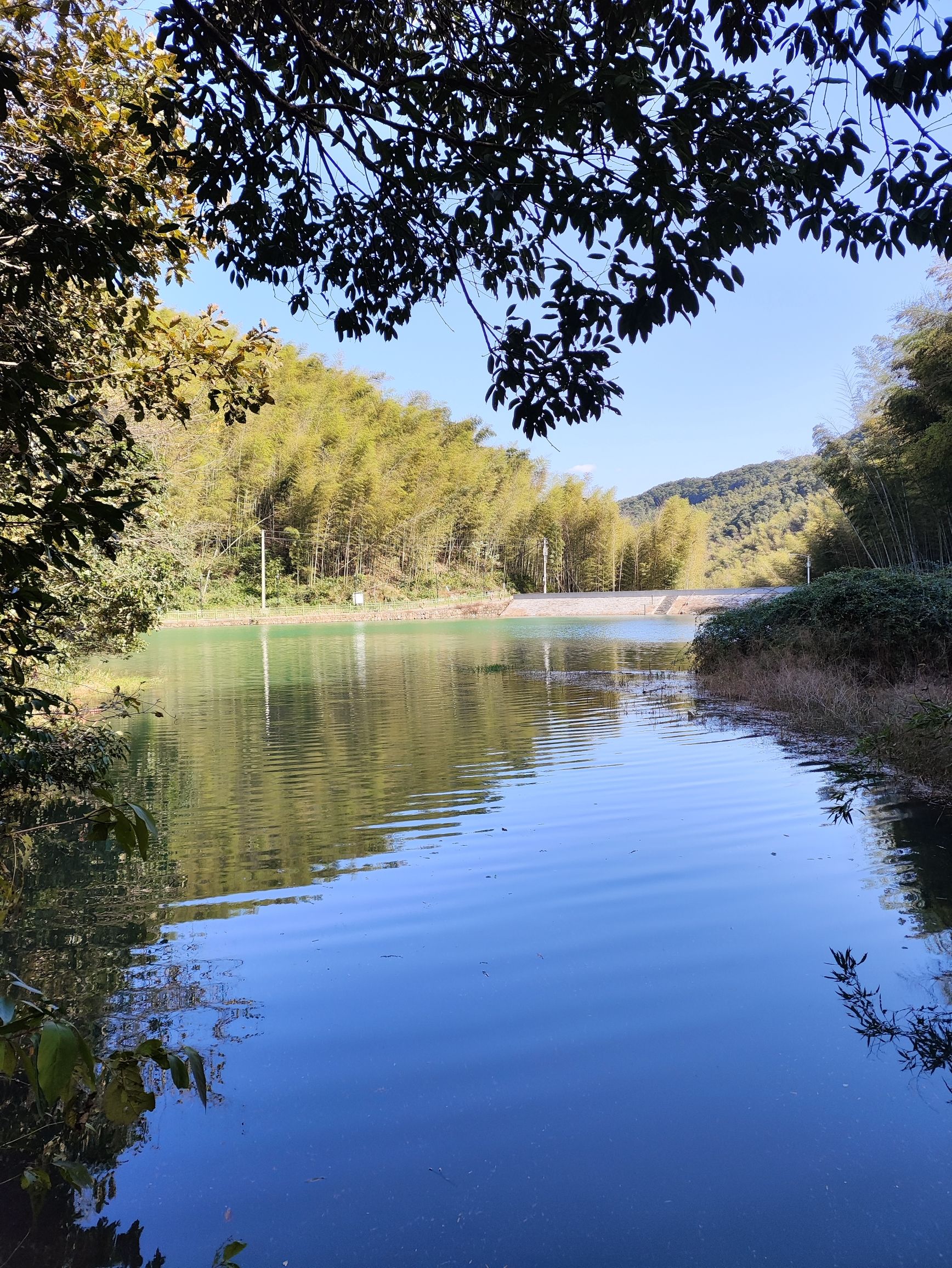 梅坞古道旅行图片 1