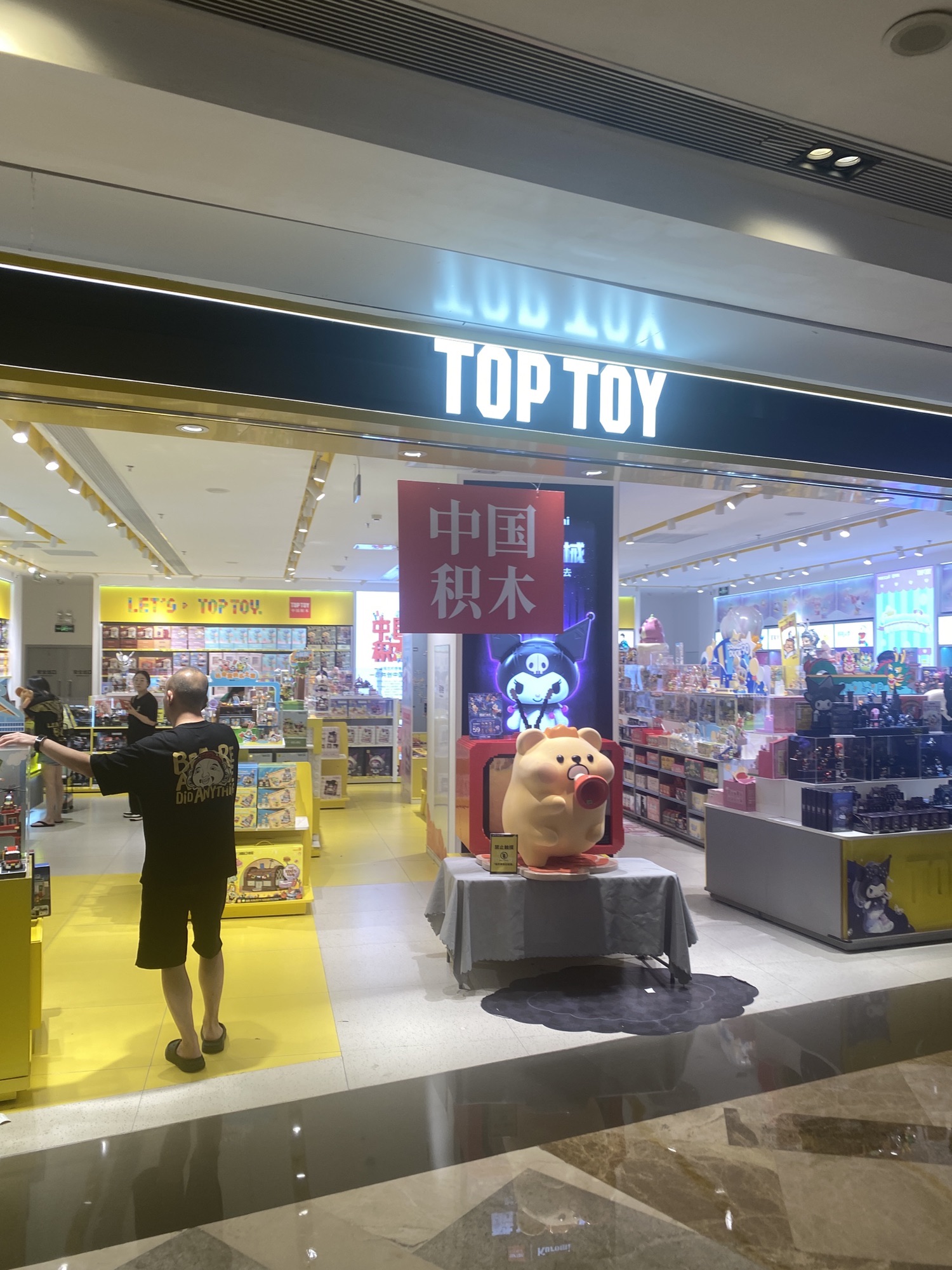 TOP TOY中国积木(航洋城店)