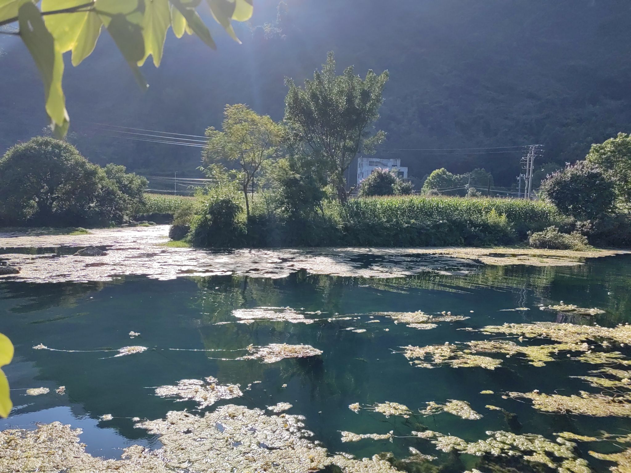 九顿溢流天窗群旅行图片 3