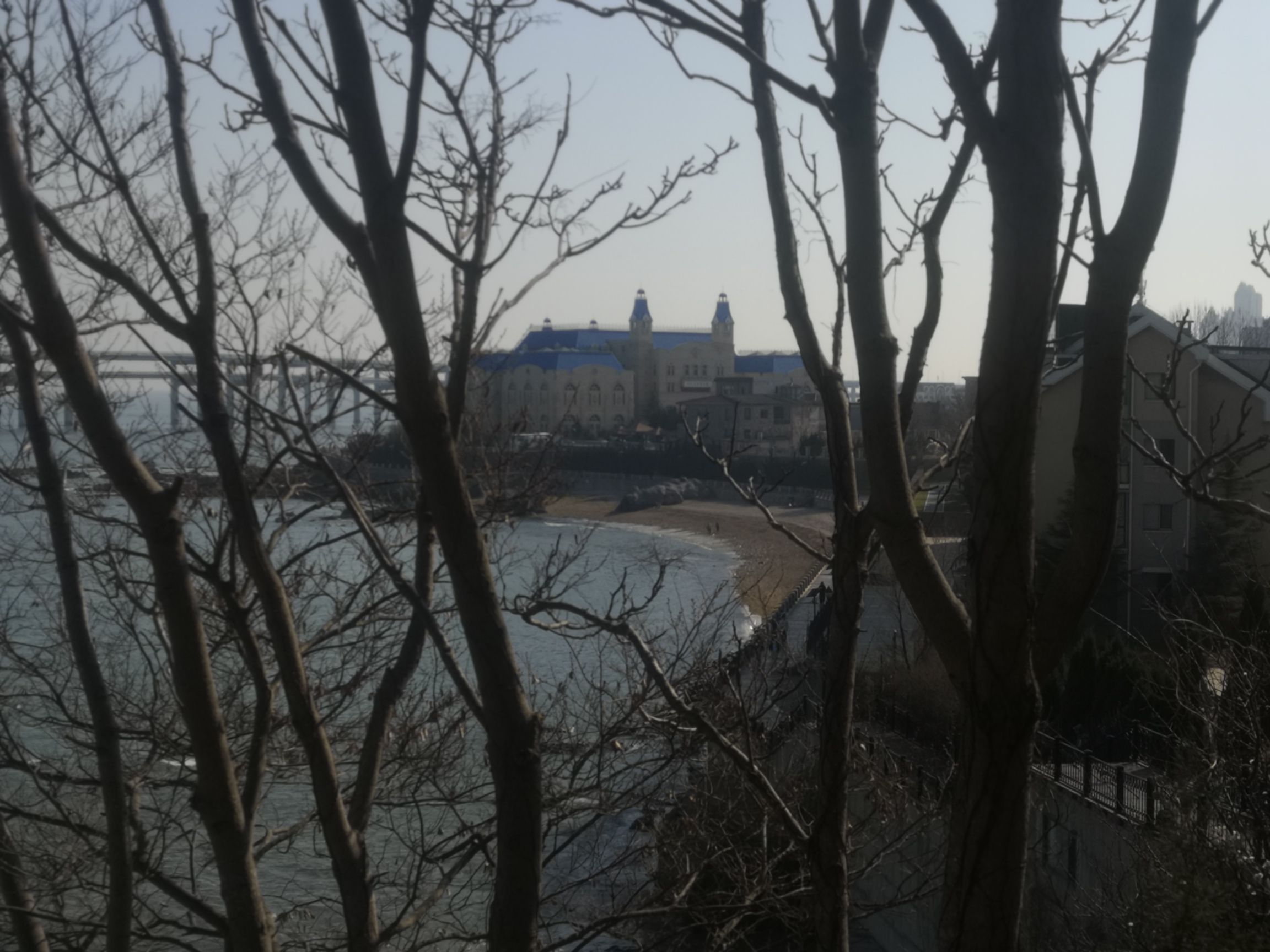 黑石礁-上山小径旅行图片 2