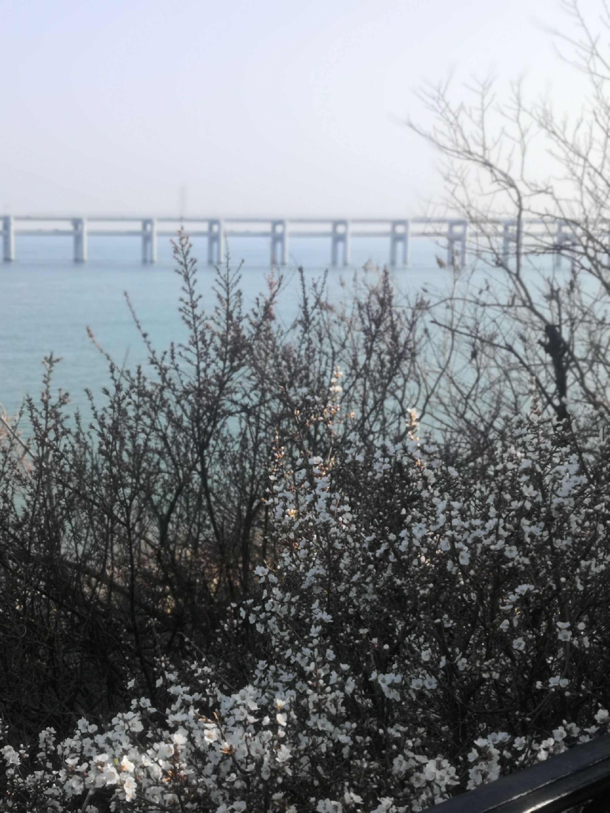 黑石礁-上山小径旅行图片 1
