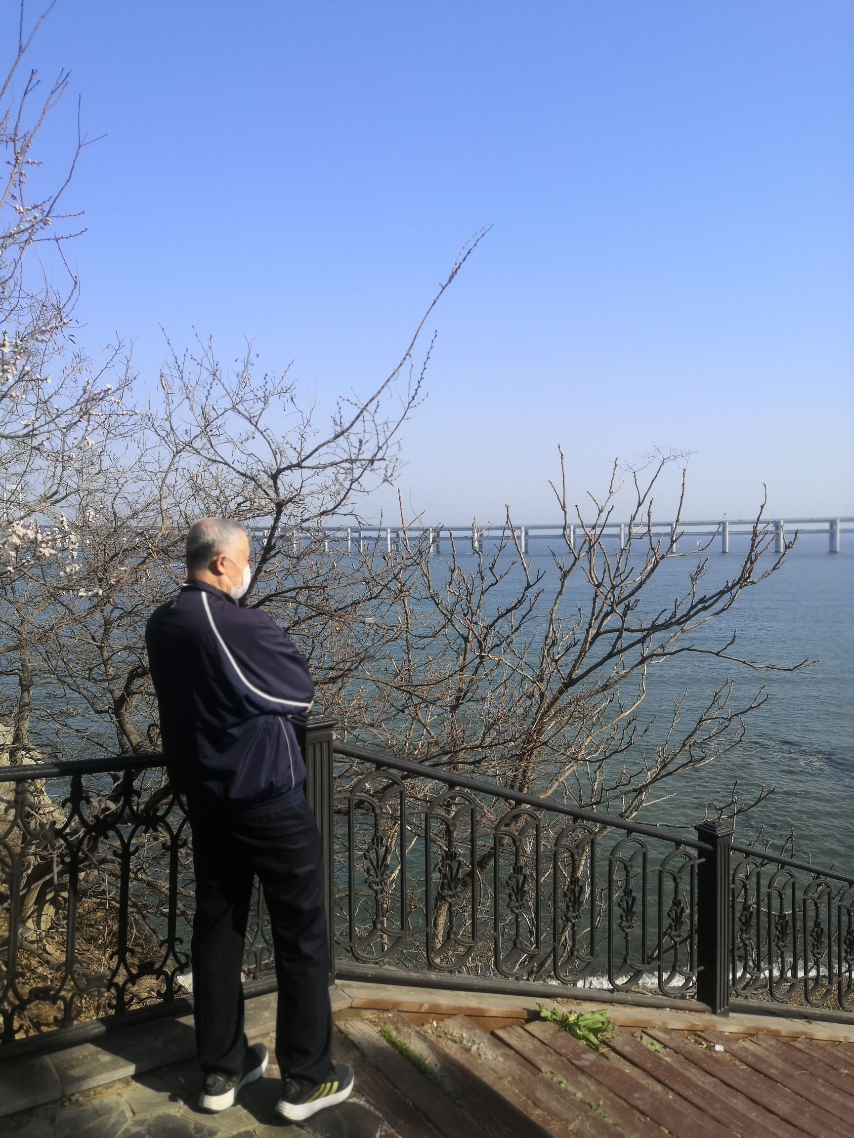 黑石礁-上山小径旅行图片 3