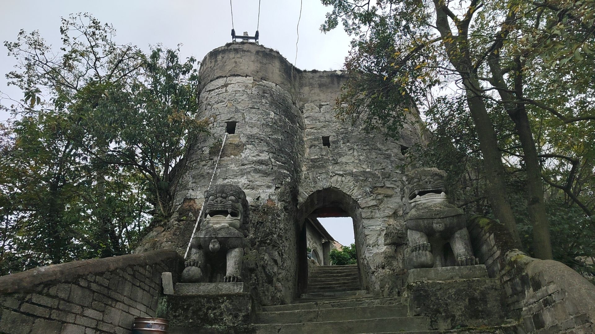 杨湖公园旅行图片 1