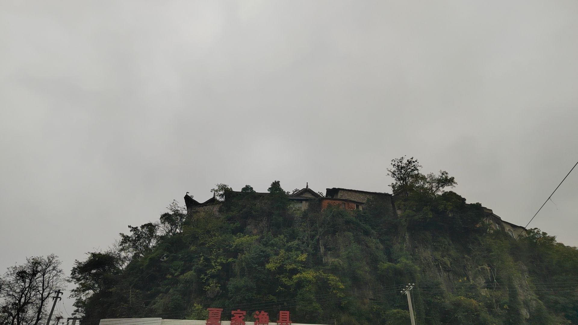 杨湖公园旅行图片 3