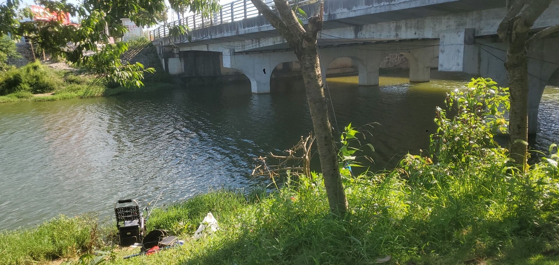 杨湖公园旅行图片 3