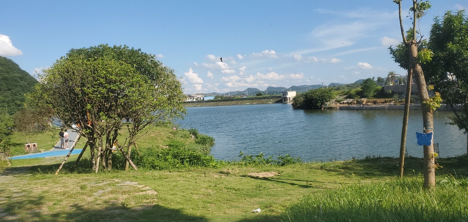 杨湖公园旅行图片 1