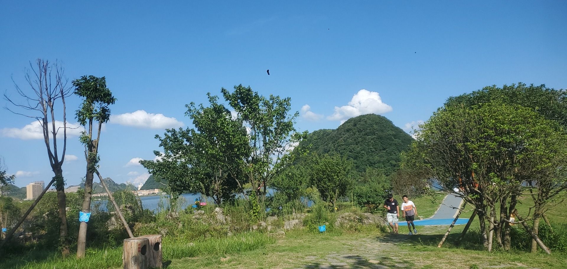 杨湖公园旅行图片 2