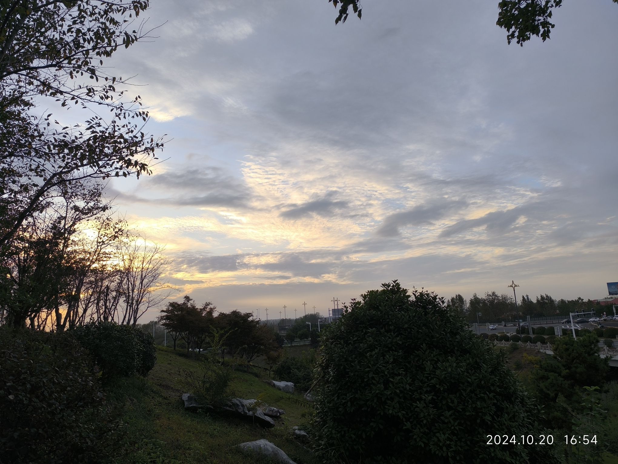 扬州西花园旅行图片 2