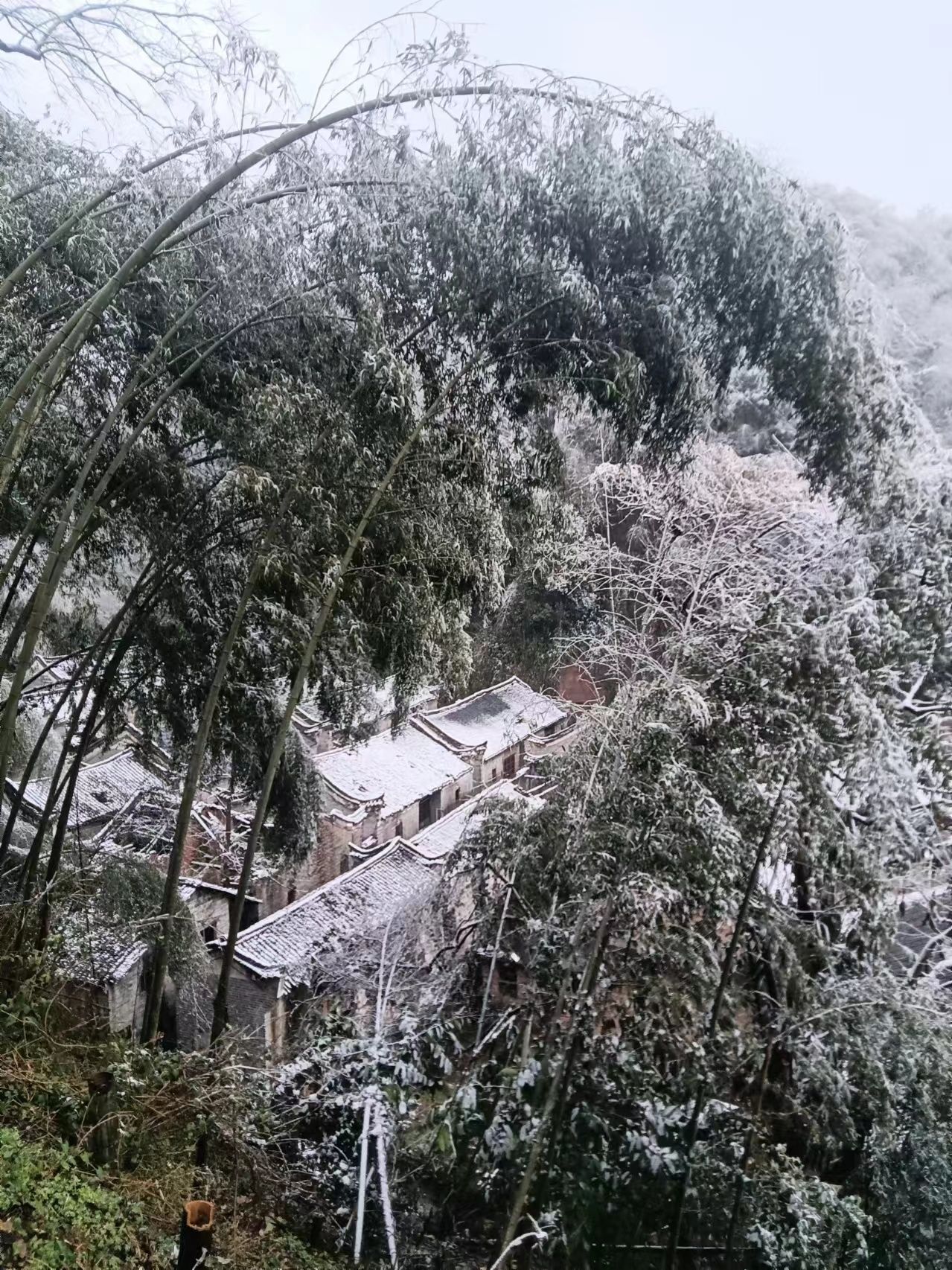 谢家塘民居群旅行图片 1