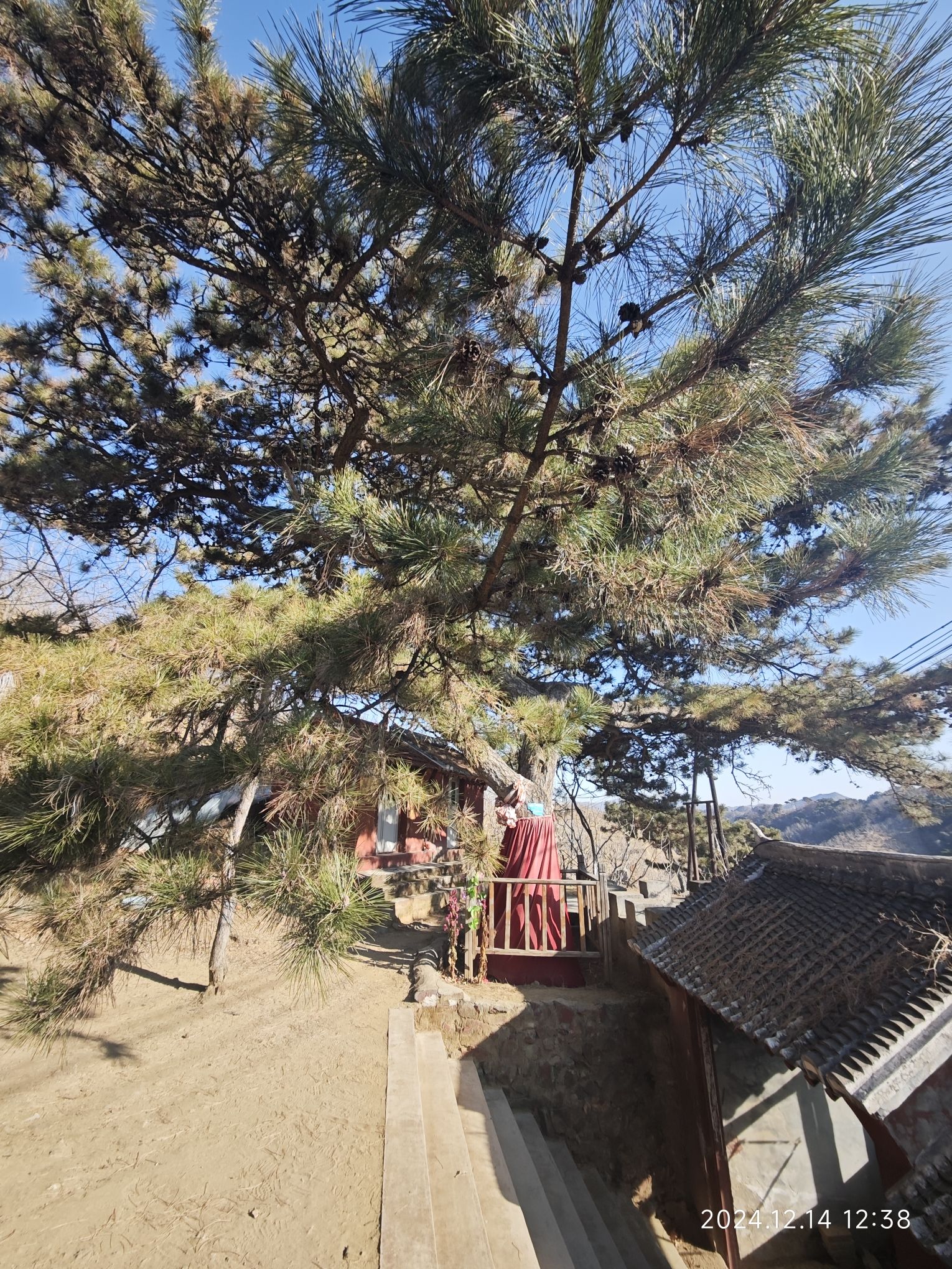 松柏寺旅行图片 1