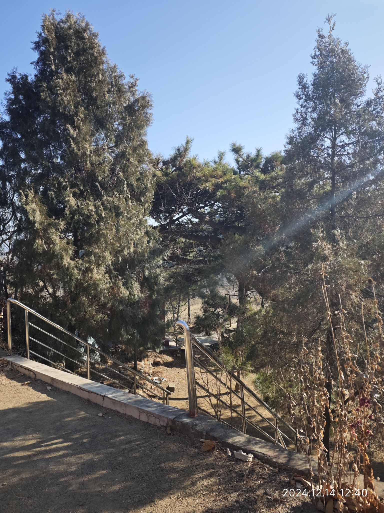 松柏寺旅行图片 3