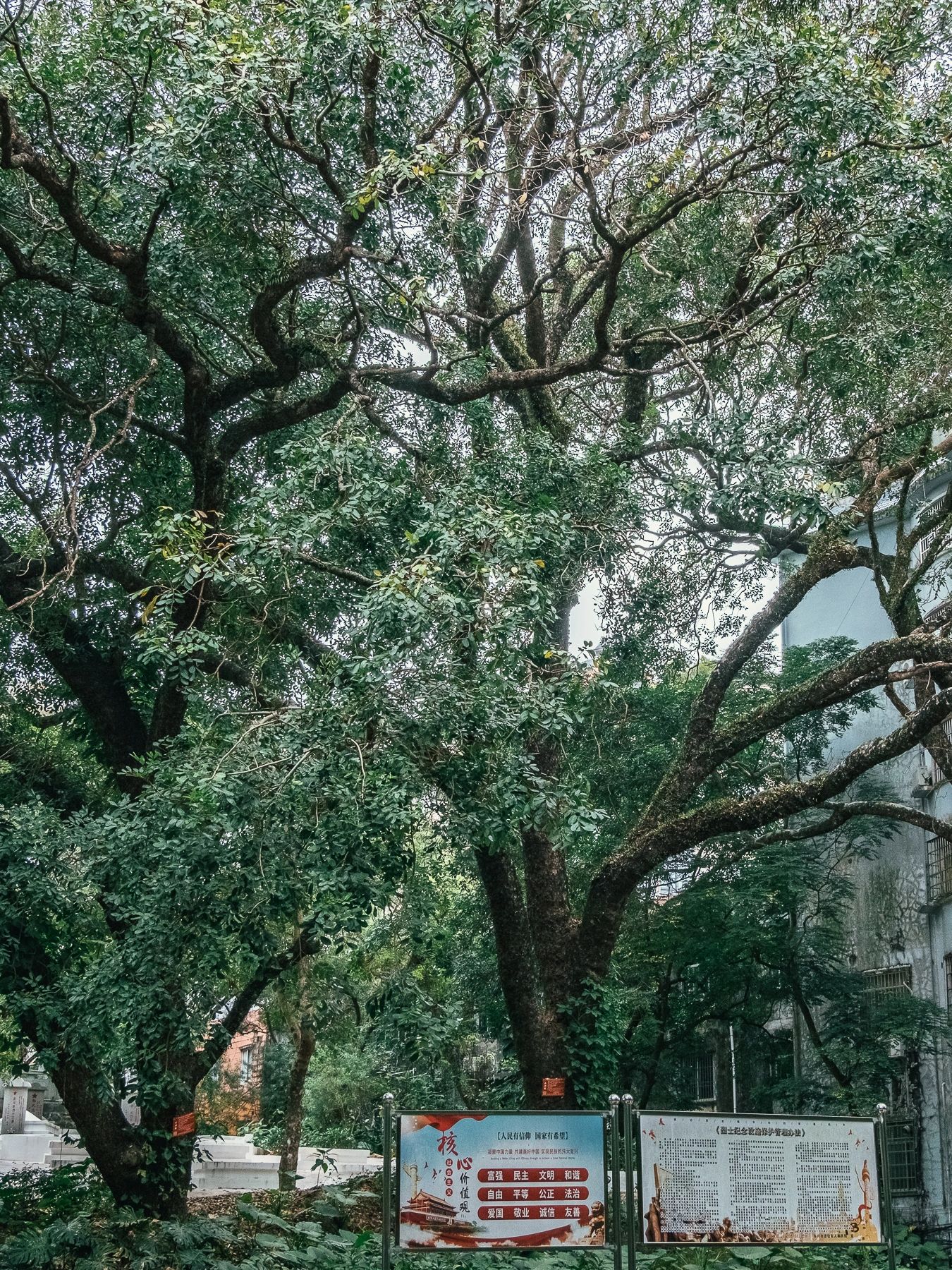 东兴边境体育公园旅行图片 1