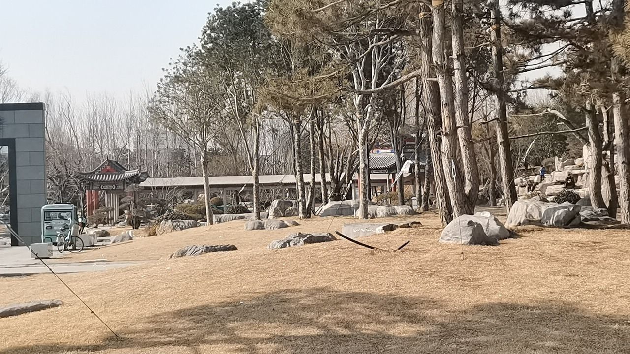 罗盛公园旅行图片 2