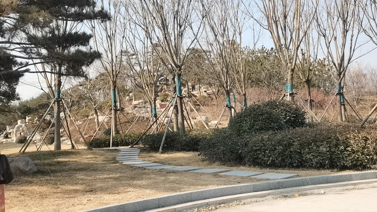 罗盛公园旅行图片 3
