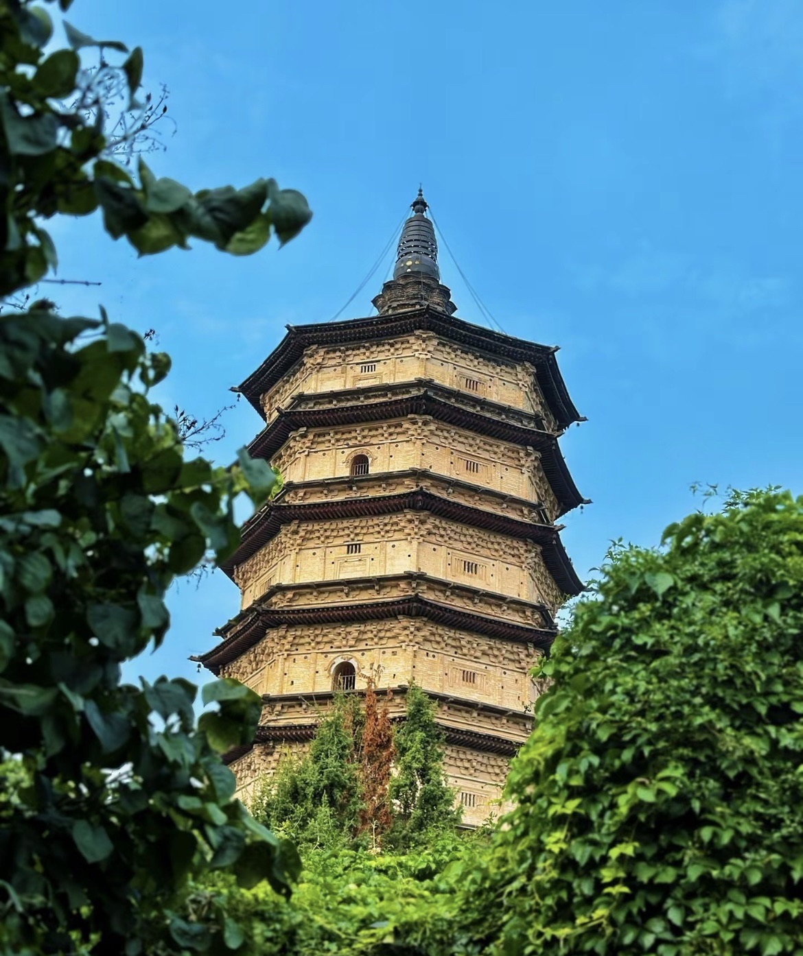 丰州故城博物馆旅行图片 1
