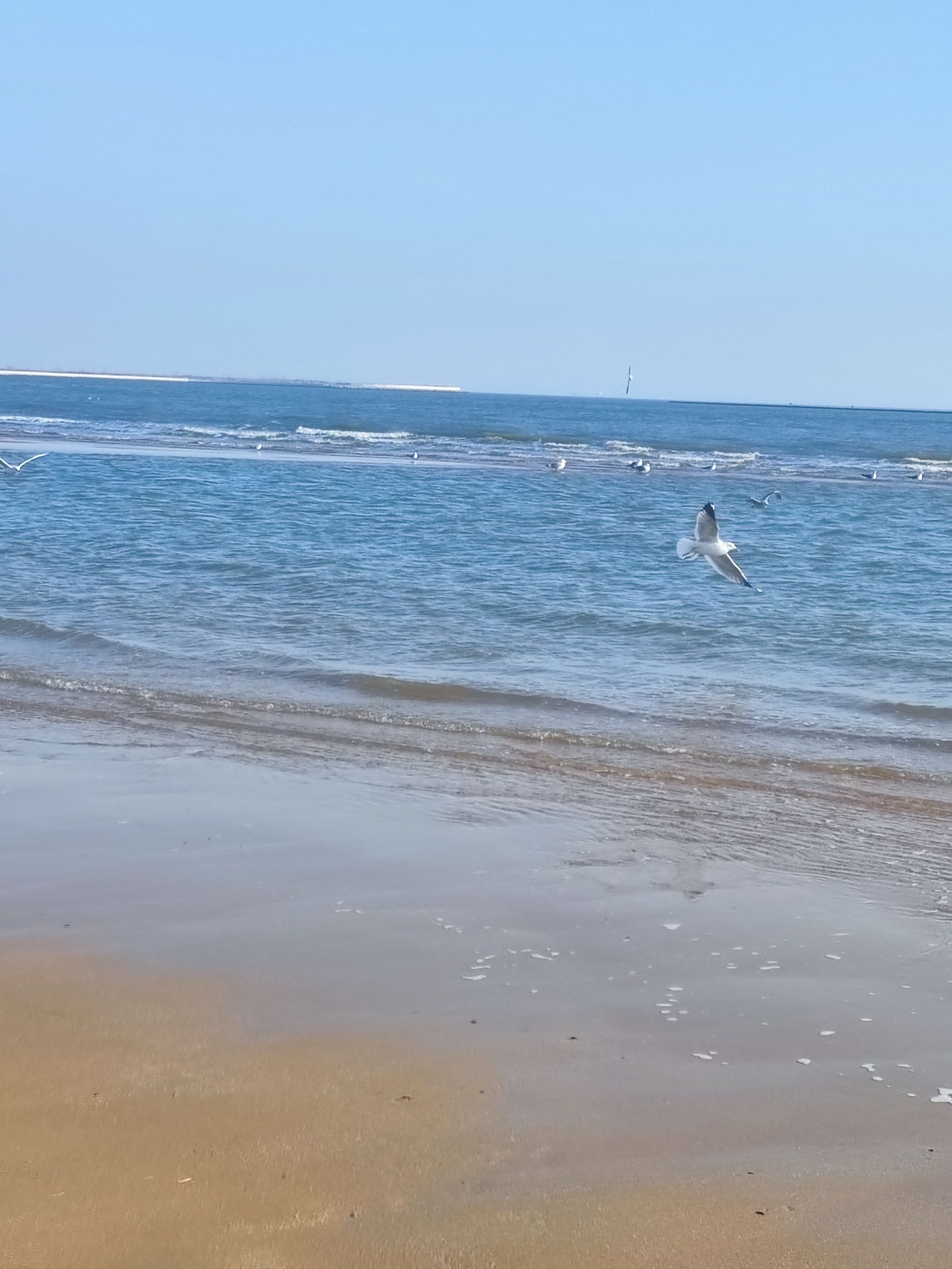 金梦海湾海誓广场旅行图片 3