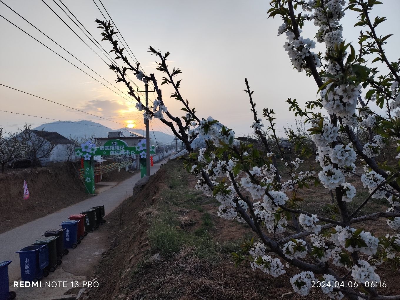 安驾庄镇大樱桃风景区旅行图片 3