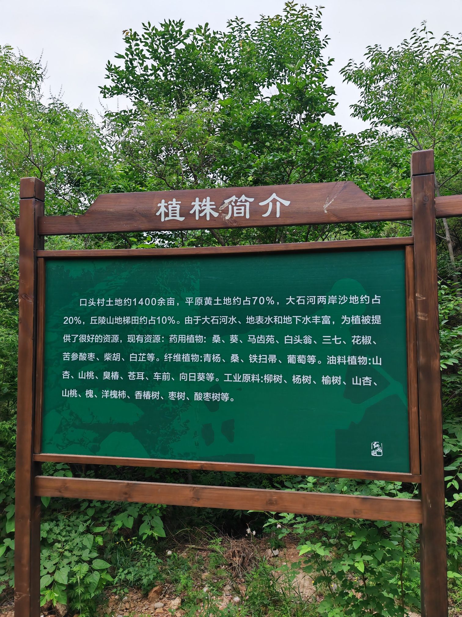 红福路旅行图片 2
