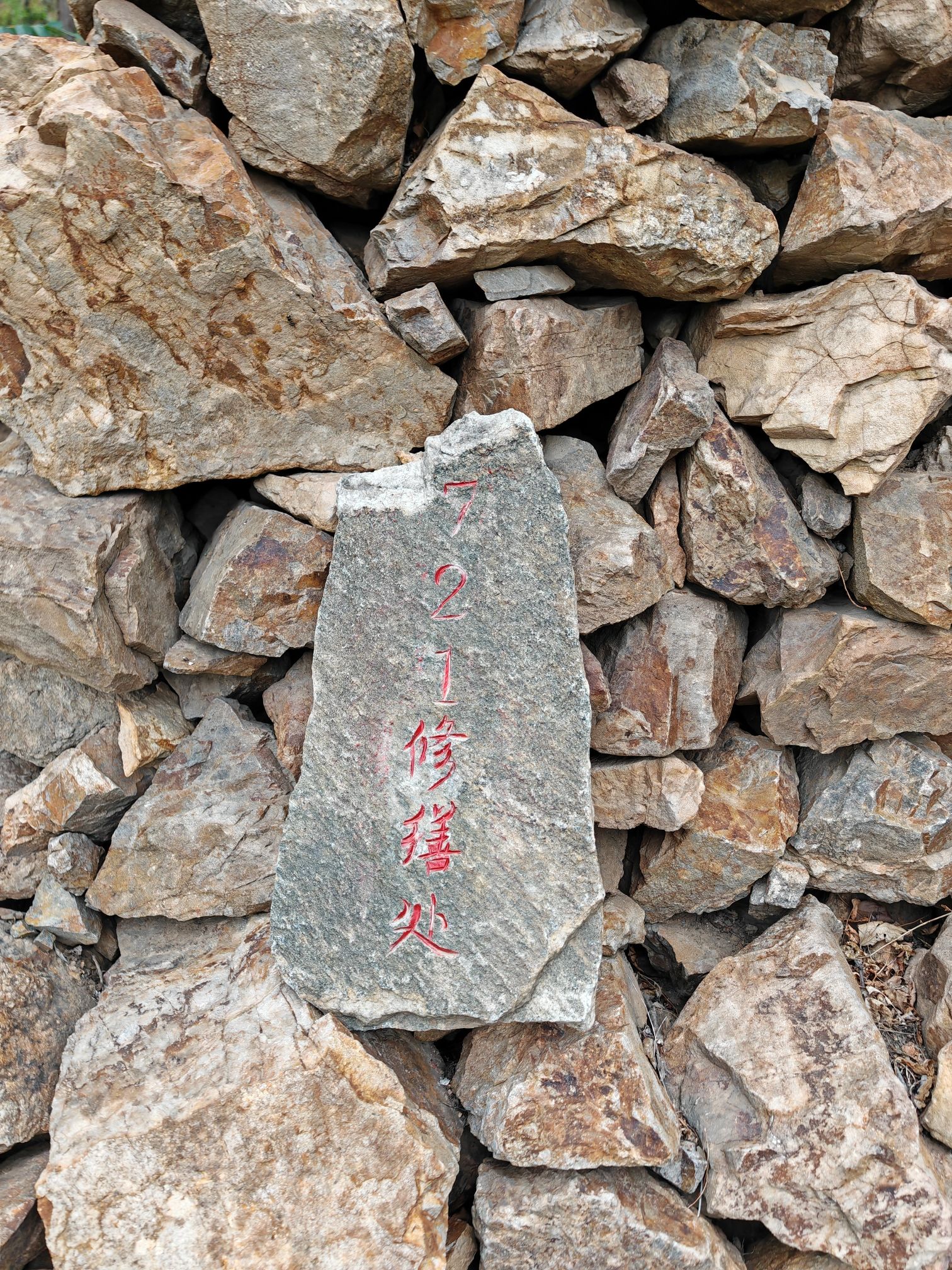 红福路旅行图片 3