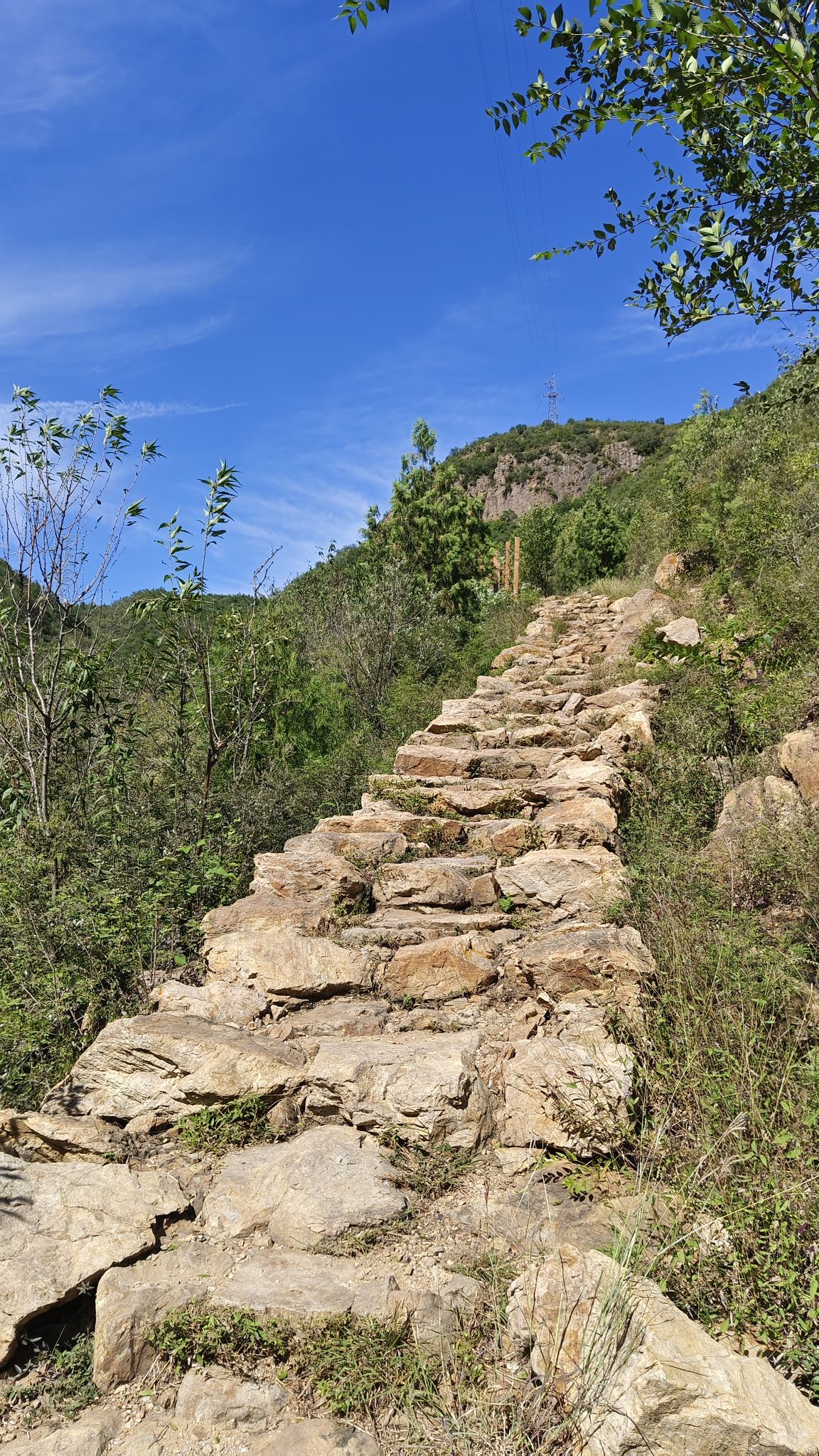 红福路旅行图片 2