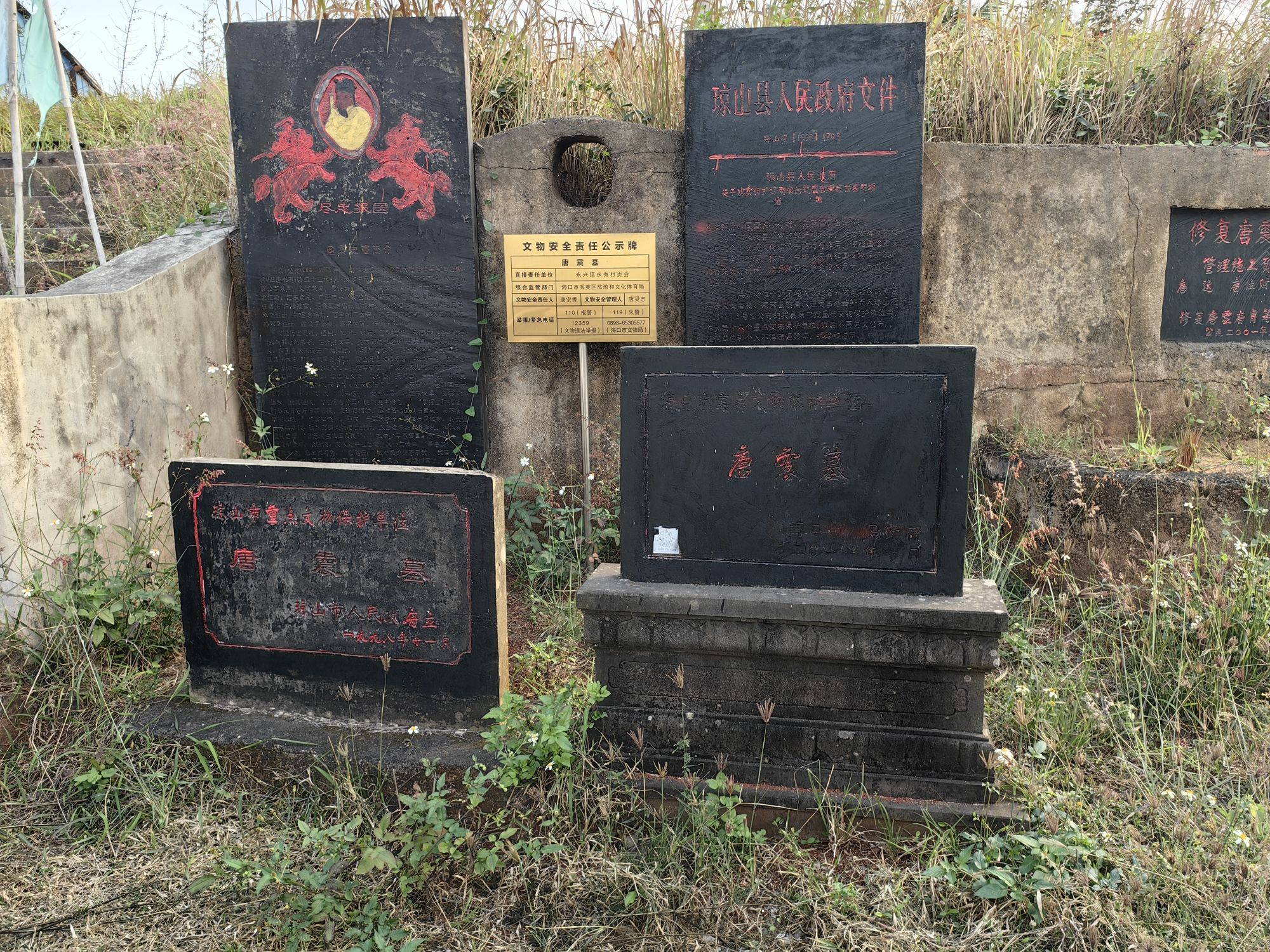 唐震墓旅行图片 3
