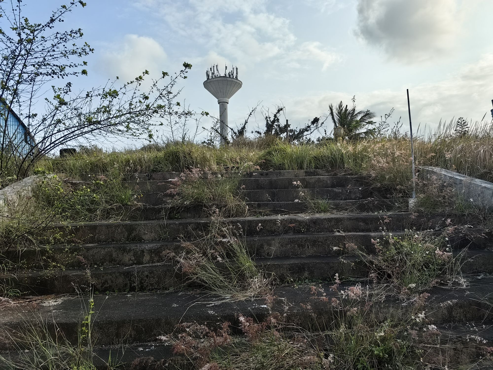 唐震墓旅行图片 1