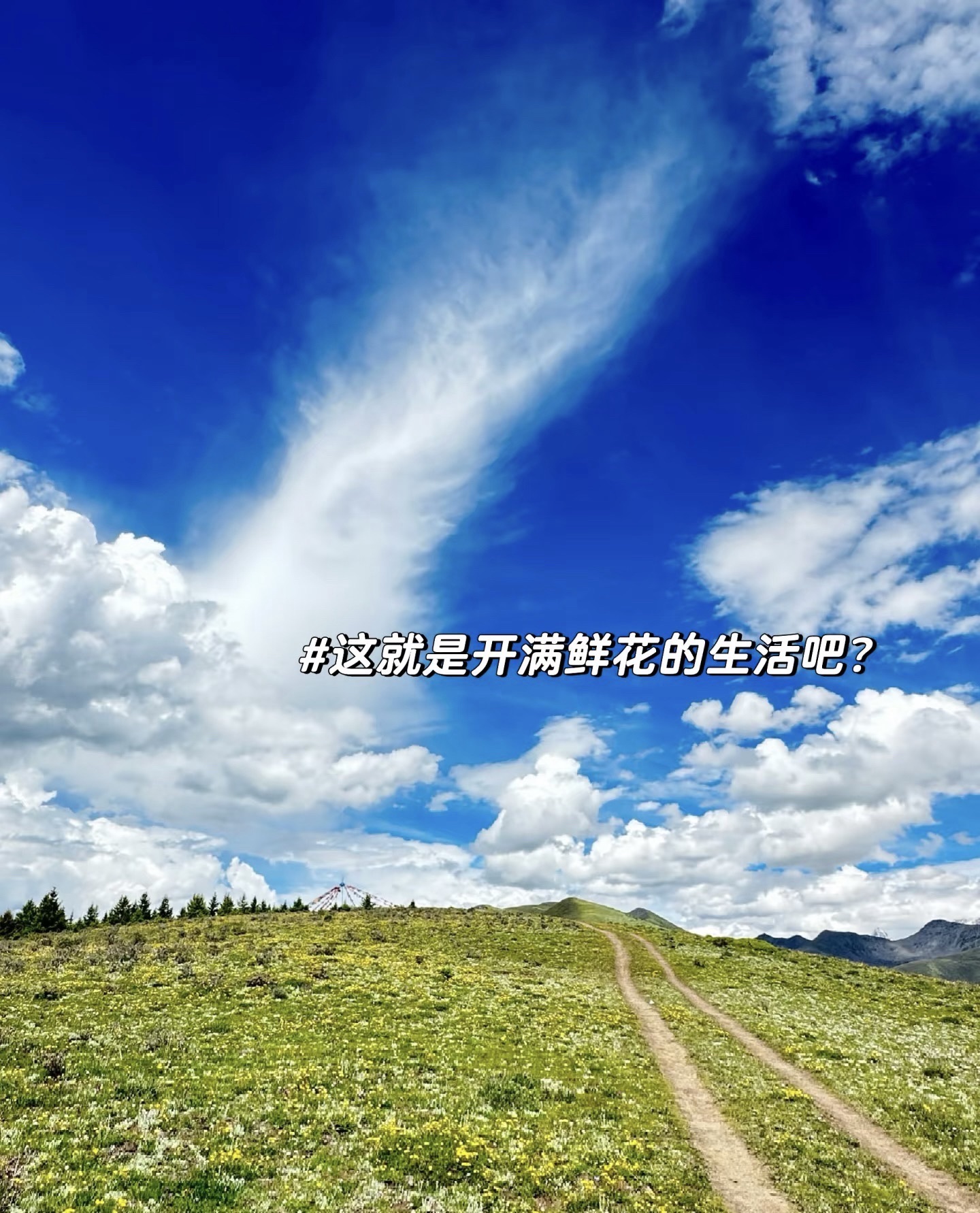 泽桑拉空中花园旅行图片 1