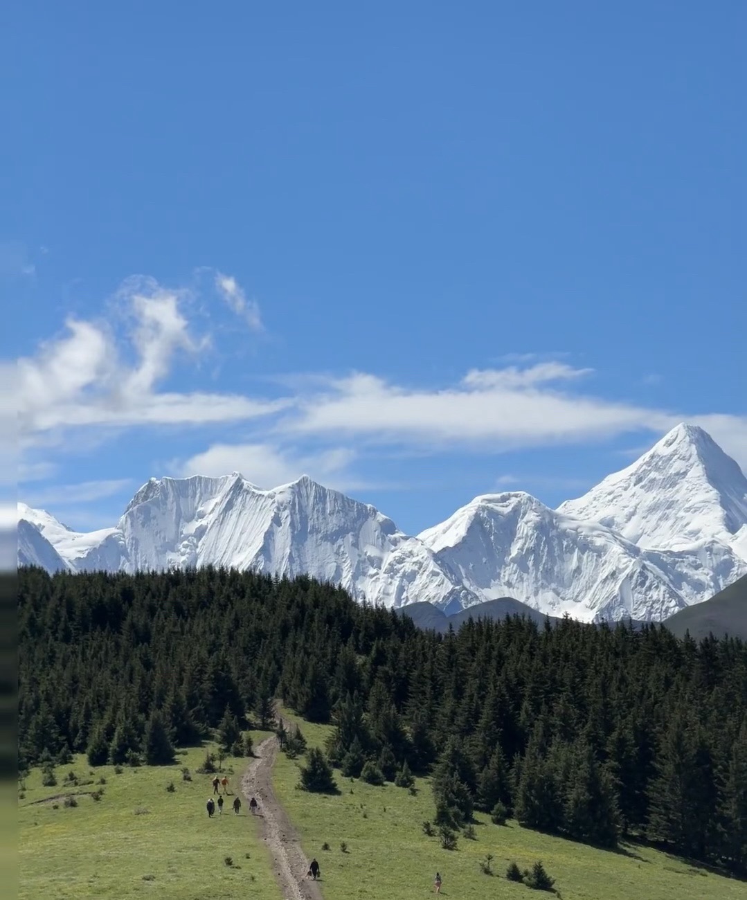 泽桑拉空中花园旅行图片 3